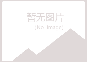 吉首字迹咨询有限公司